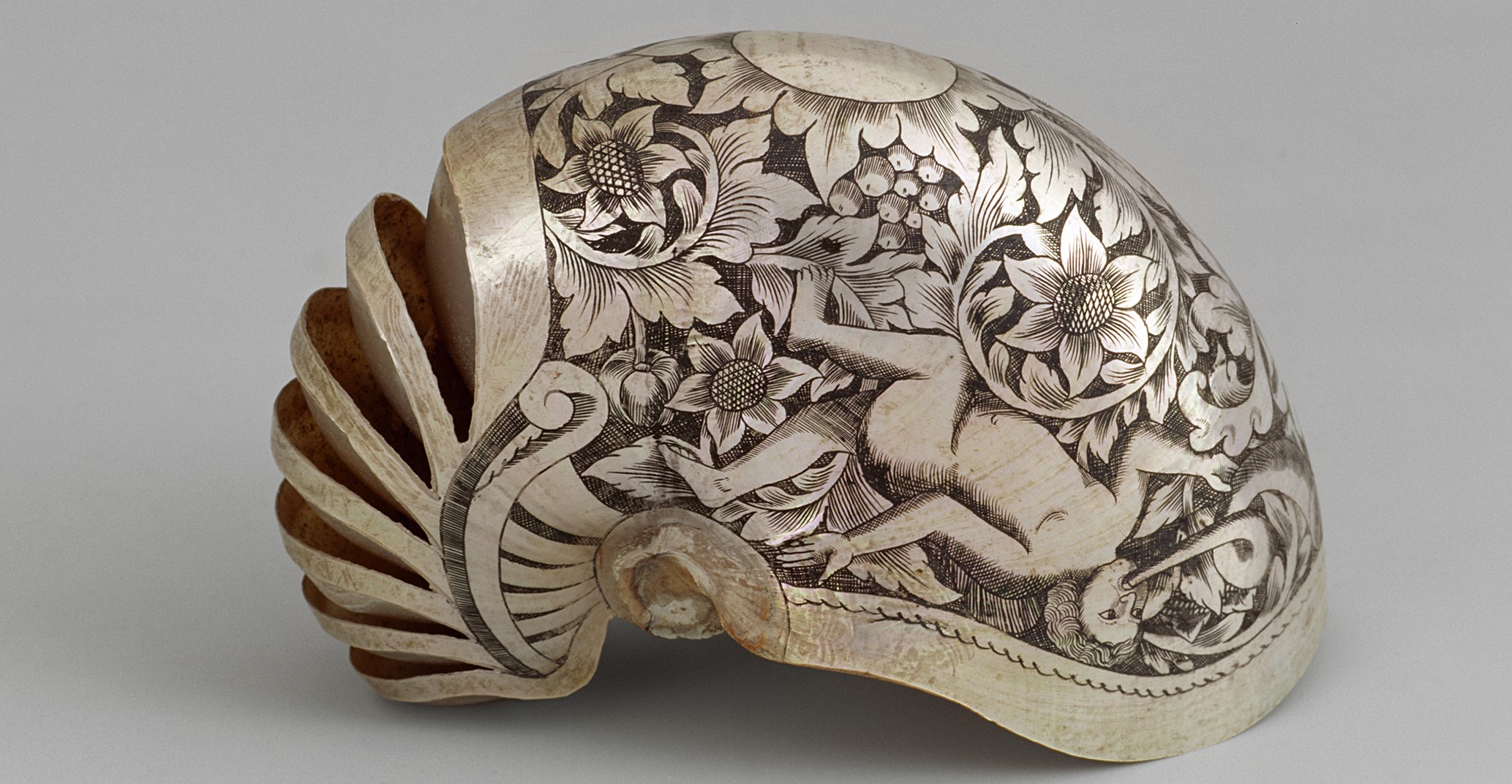 Nautilus-Schale | Holländisch, 2. Hälfte 16. Jahrhundert | Schloss Ambras Innsbruck, Inv.-Nr. PA 800 © KHM-Museumsverband Nautilus-Schale | Holländisch, 2. Hälfte 16. Jahrhundert | Schloss Ambras Innsbruck, Inv.-Nr. PA 800 © KHM-Museumsverband