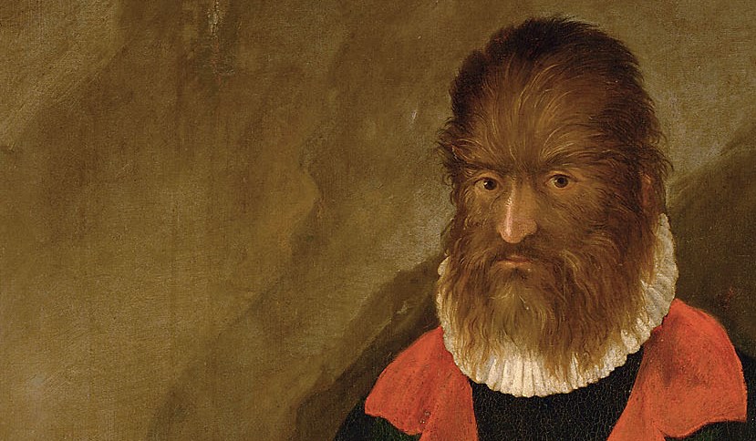 Anonymer deutscher Maler, Porträt des sogenannten "Haarmenschen" Petrus Gonsalvus (Detailaufnahme), um 1580, Öl auf Leinwand | 190 x 80 cm Kunsthistorisches Museum Wien, Gemäldegalerie, GG_8329 | Derzeit ausgestellt: Schloss Ambras Innsbruck Unterschloss, Kunstkammer | Bildrecht: © KHM-Museumsverband.